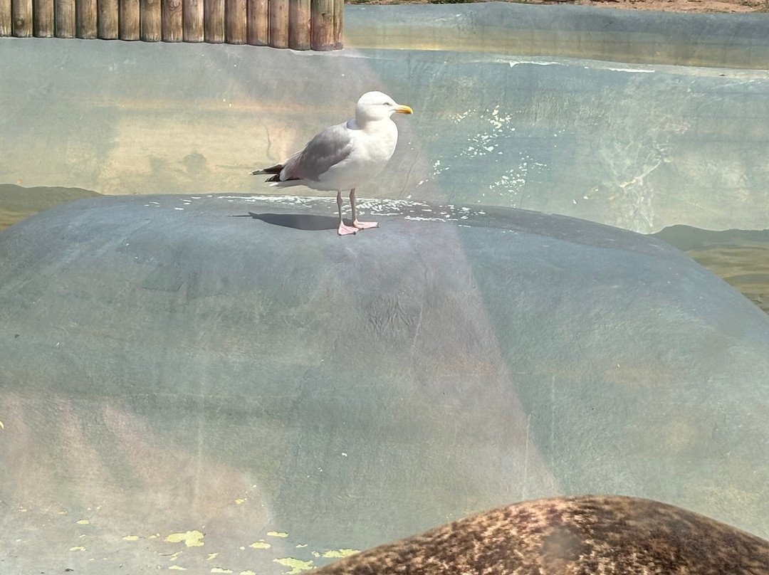 Mablethorpe Seal Sanctuary and Wildlife Centre-Mablethorpe必去景点