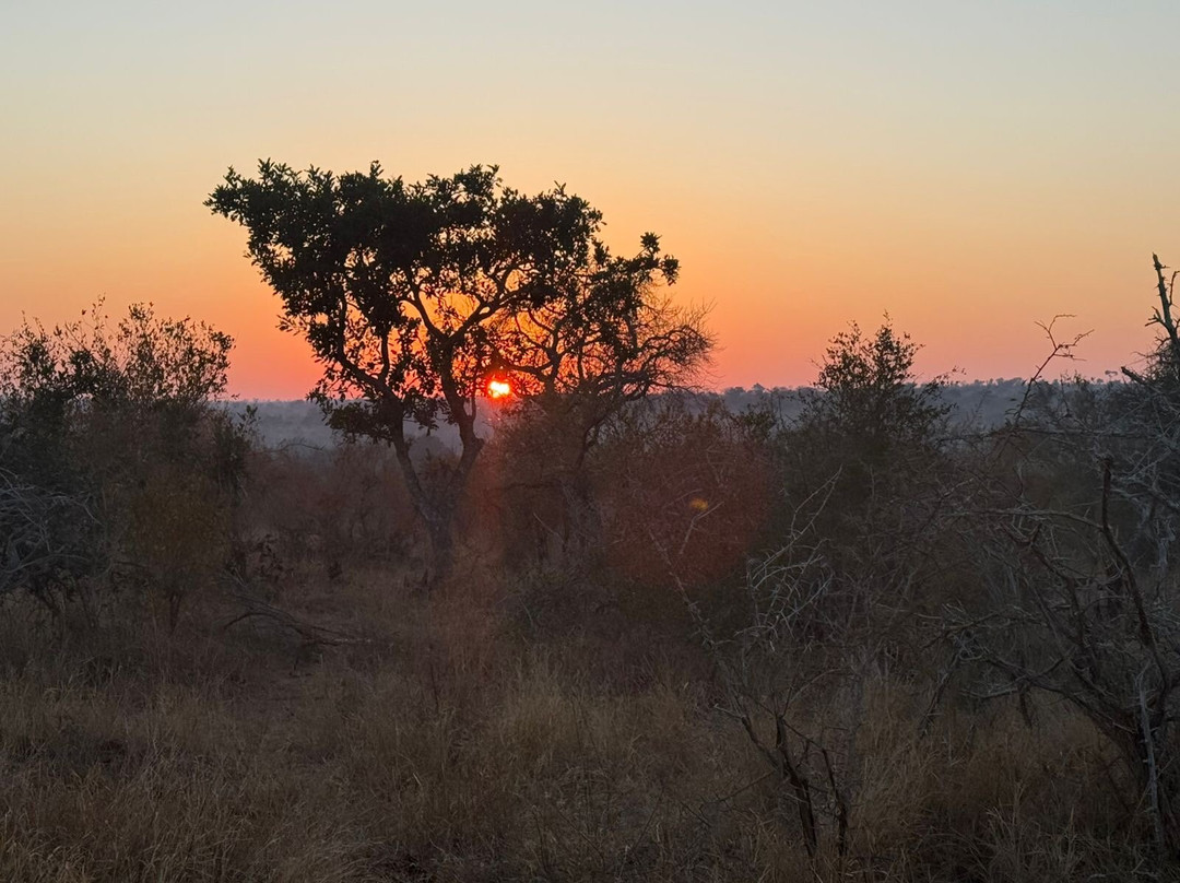 Famba Travel & Safaris-参宁必去景点