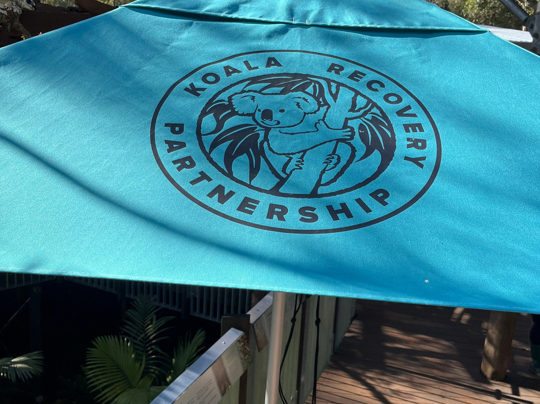 考拉医院-麦克夸利港必去景点