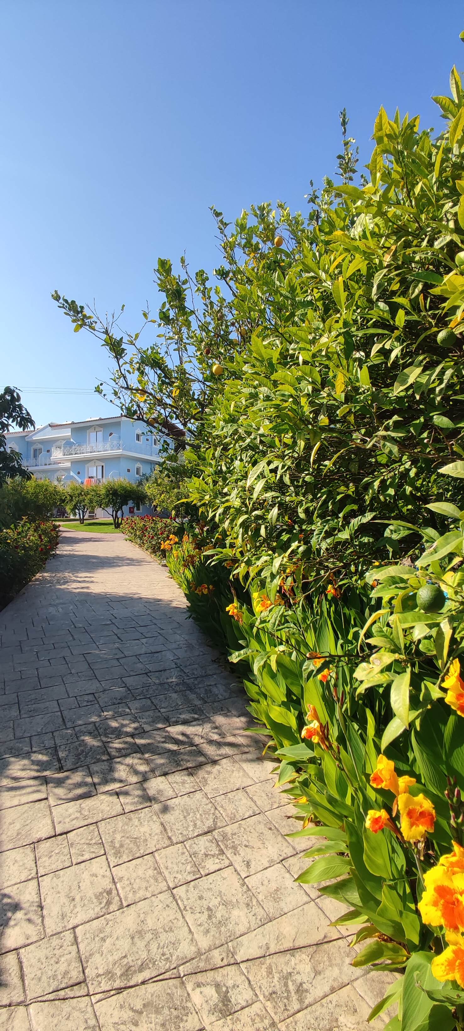 Filoxenia Hotel Apartments-官方