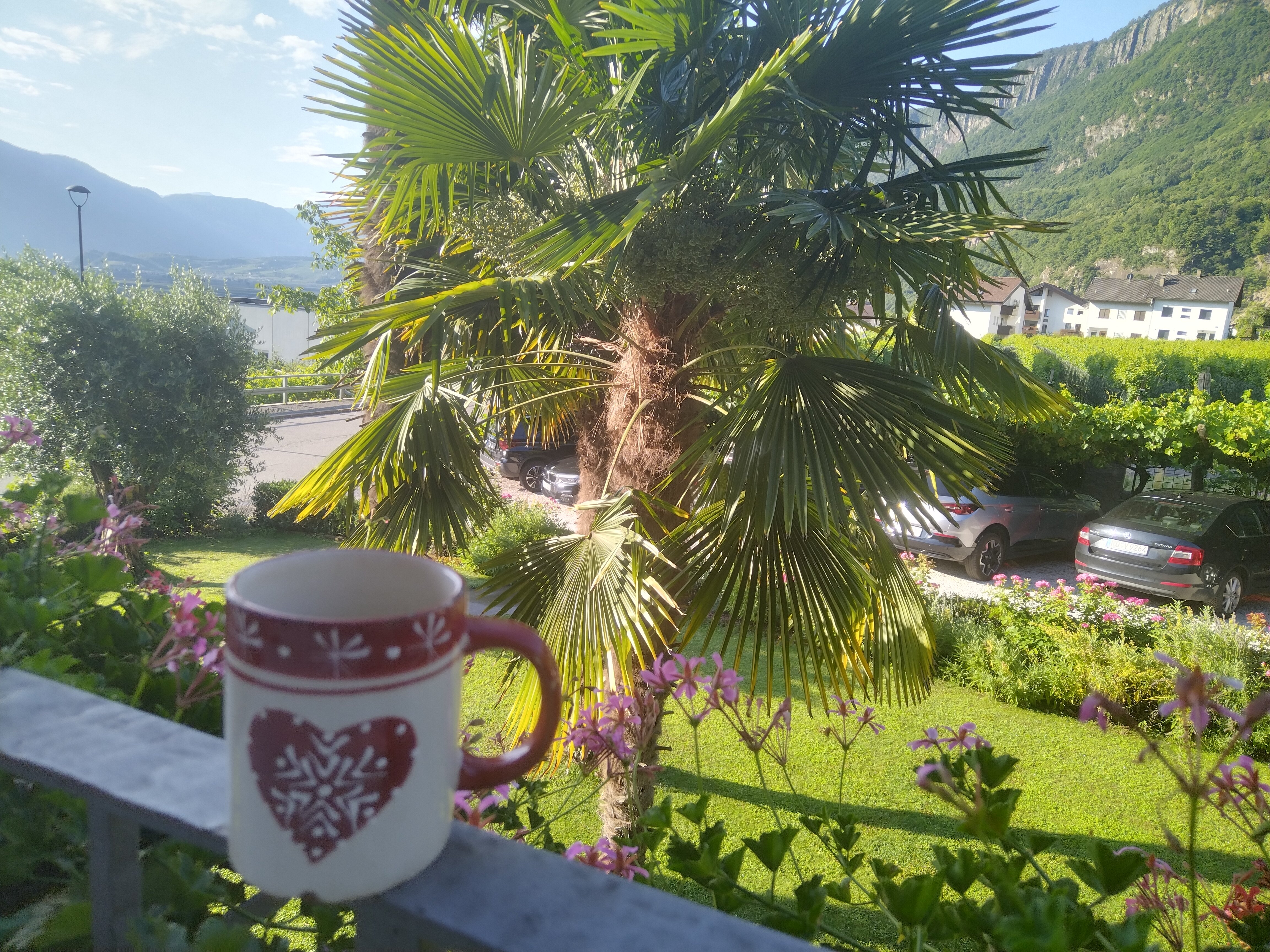 Pension Zeder-官方