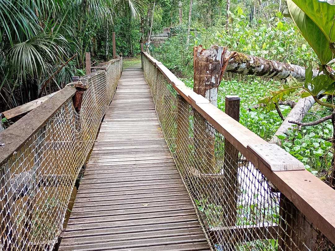 Zoo de Guyane-Macouria必去景点