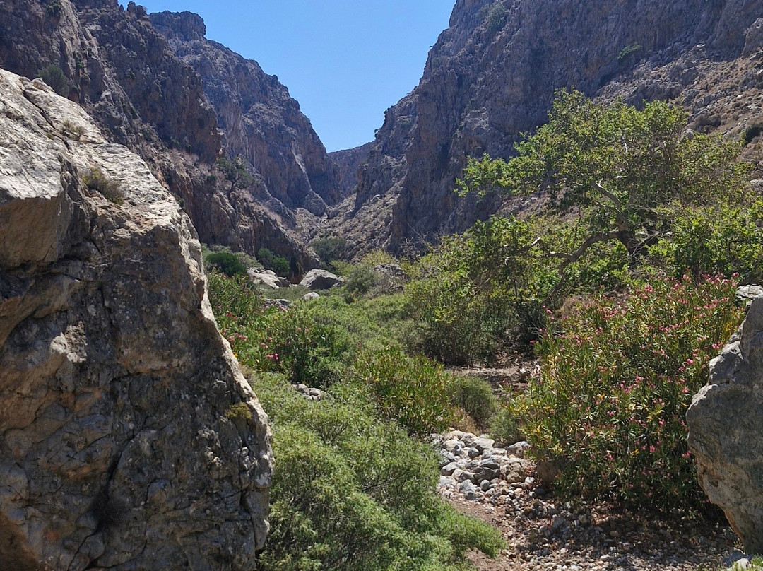 Gorge of the Dead-Kato Zakros必去景点