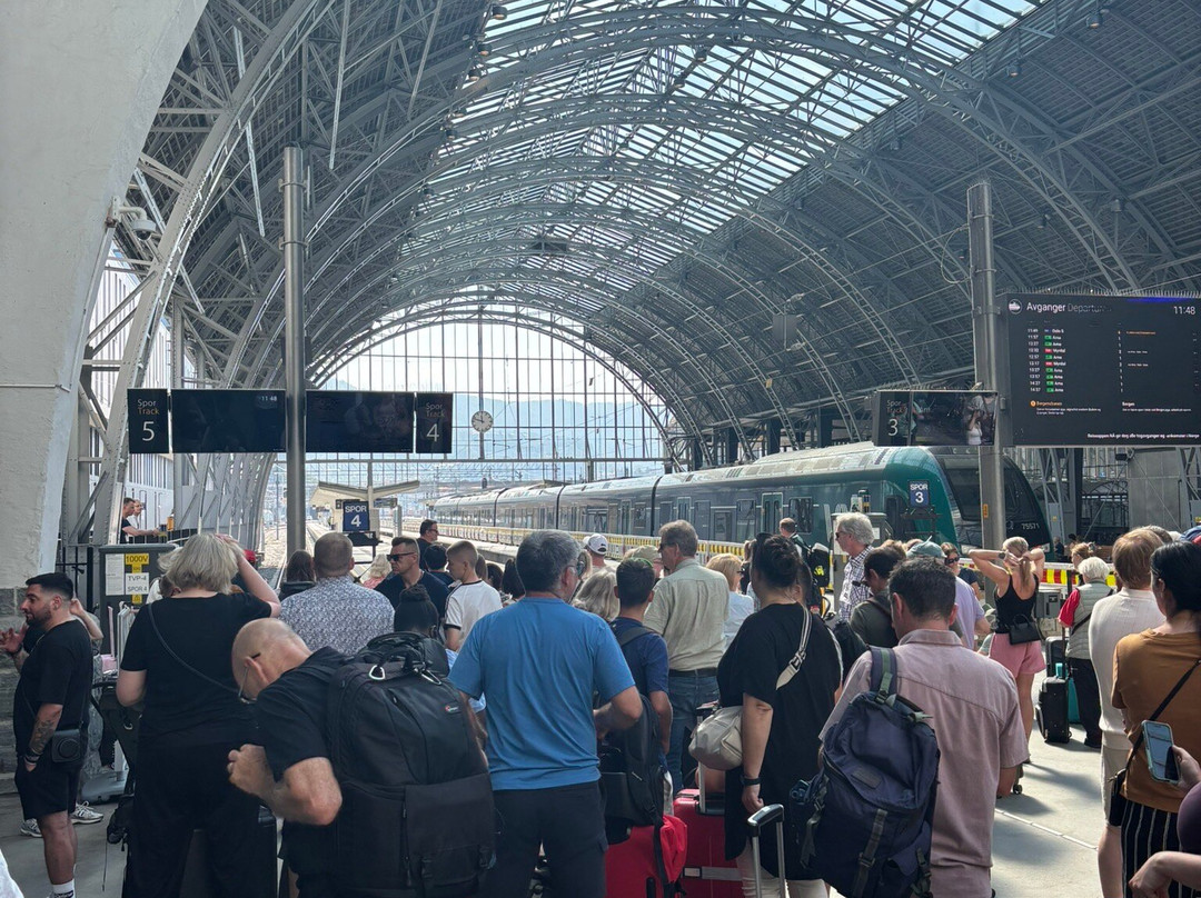 Bergen to Oslo Train Ride-卑尔根必去景点