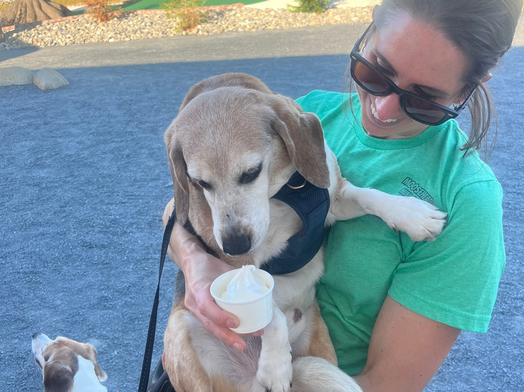 Moosehead Mini Golf & Snack Shack-Shirley Mills必去景点