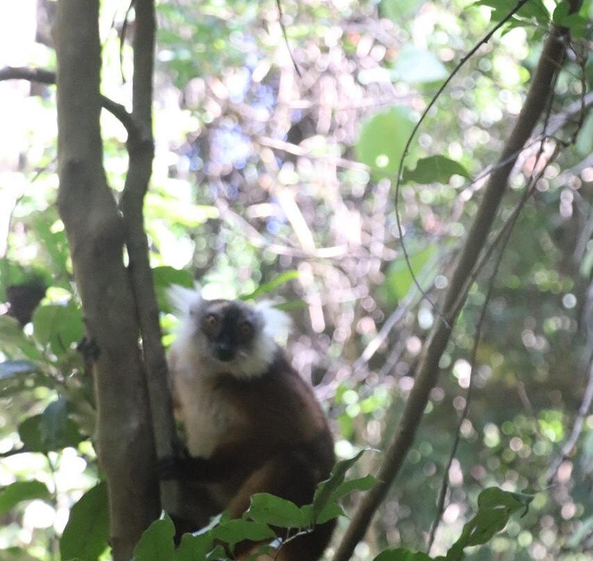 Nosy Be Promenade Private Day Tours-Ambatoloaka必去景点