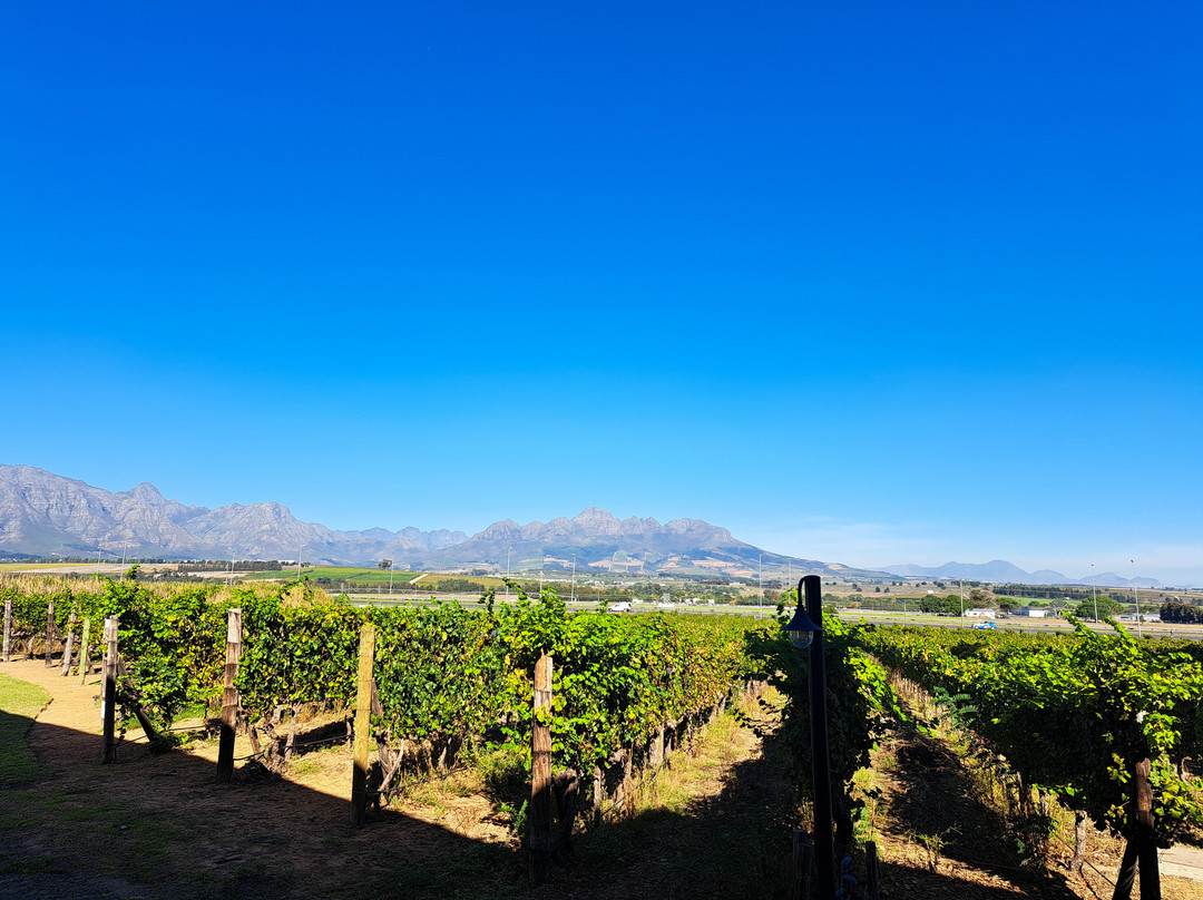 Lovane Boutique Wine Estate主图