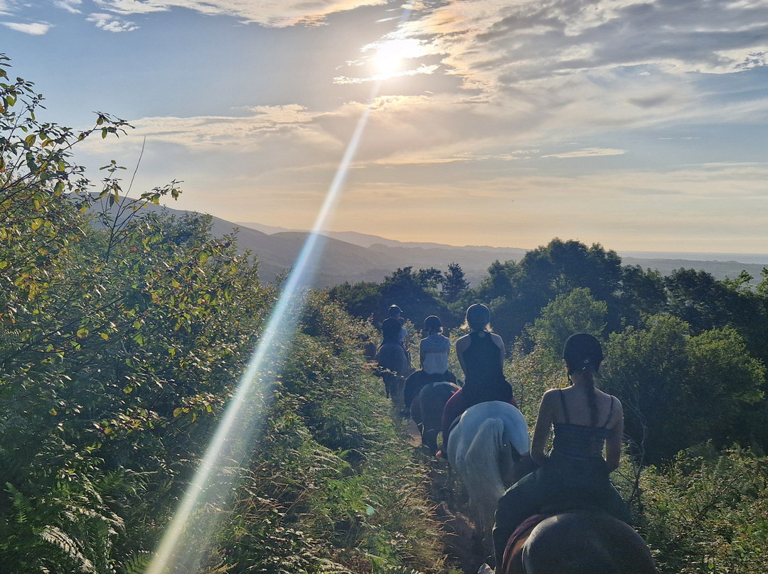 Centre de Tourisme Equestre Larrun Alde-Urrugne必去景点