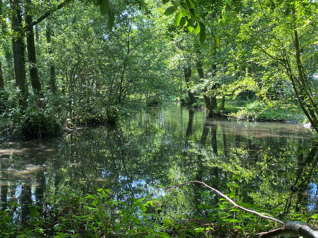 Ferne Animal Sanctuary-Chard必去景点