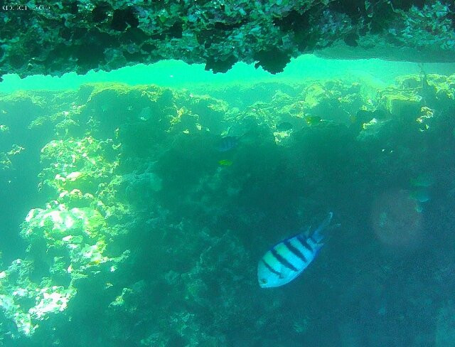 Sharm Station-沙姆沙伊赫必去景点