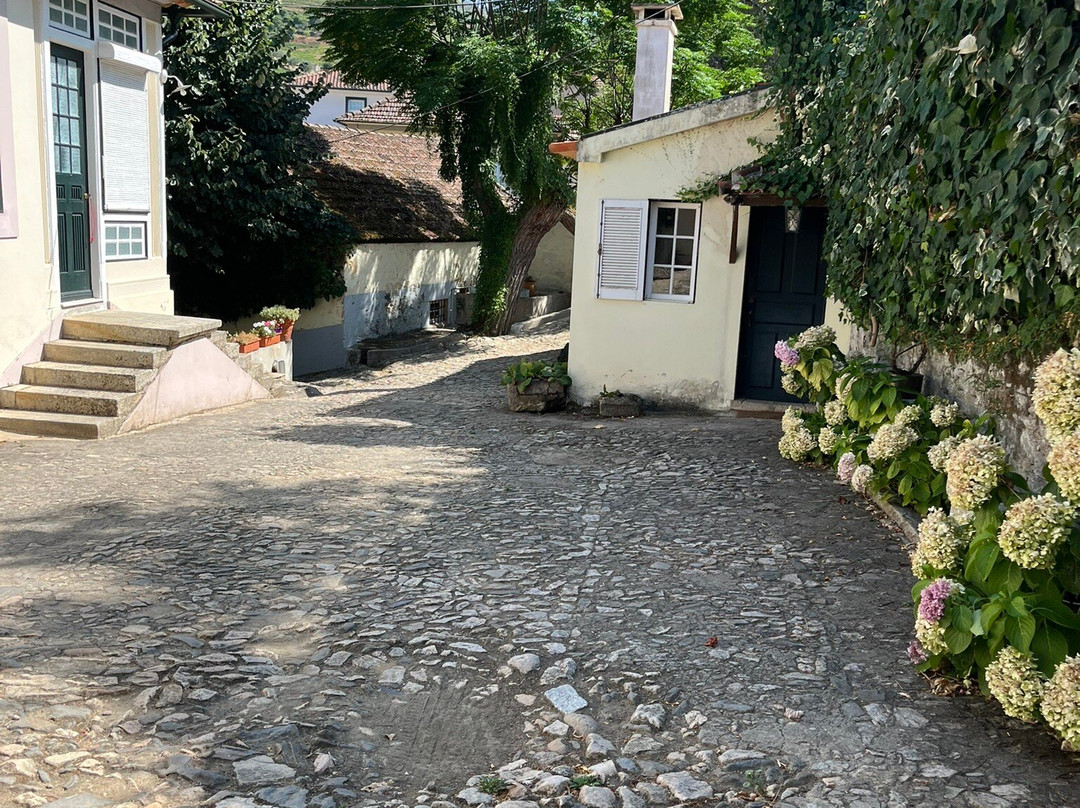 Quinta da Casa Amarela-Lamego必去景点