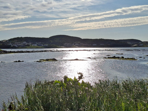 Wildland Tours-圣约翰必去景点