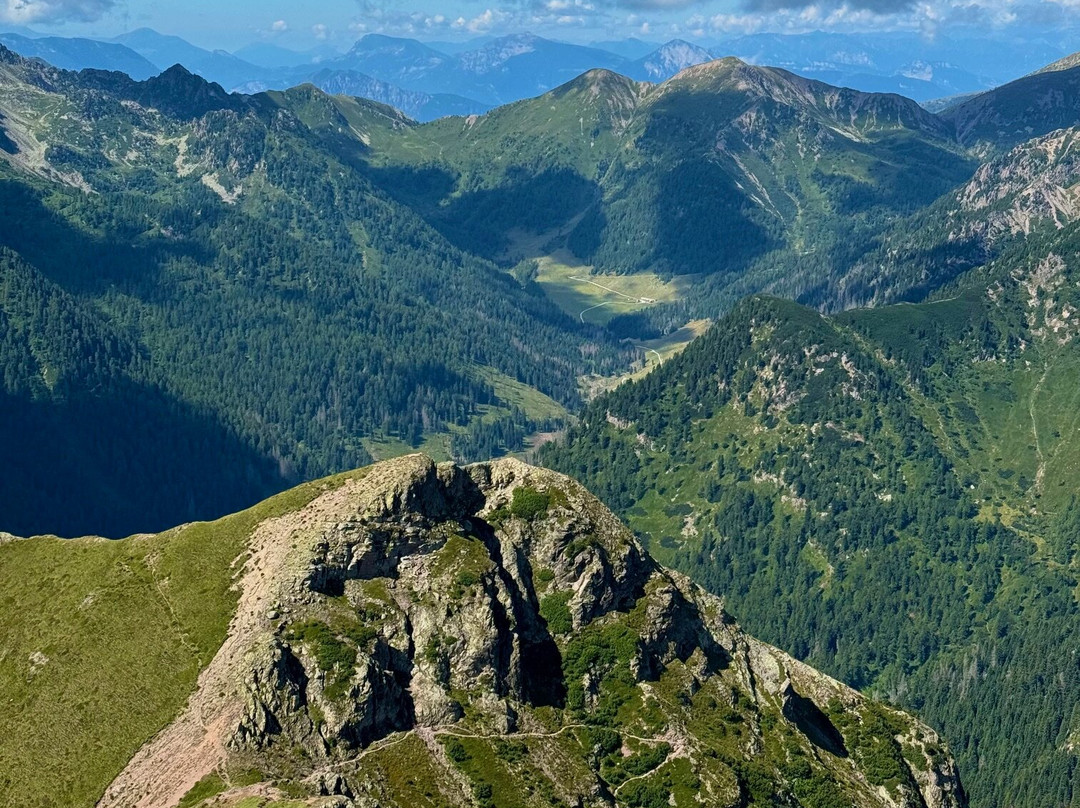 Albergo La Ruscoletta主图