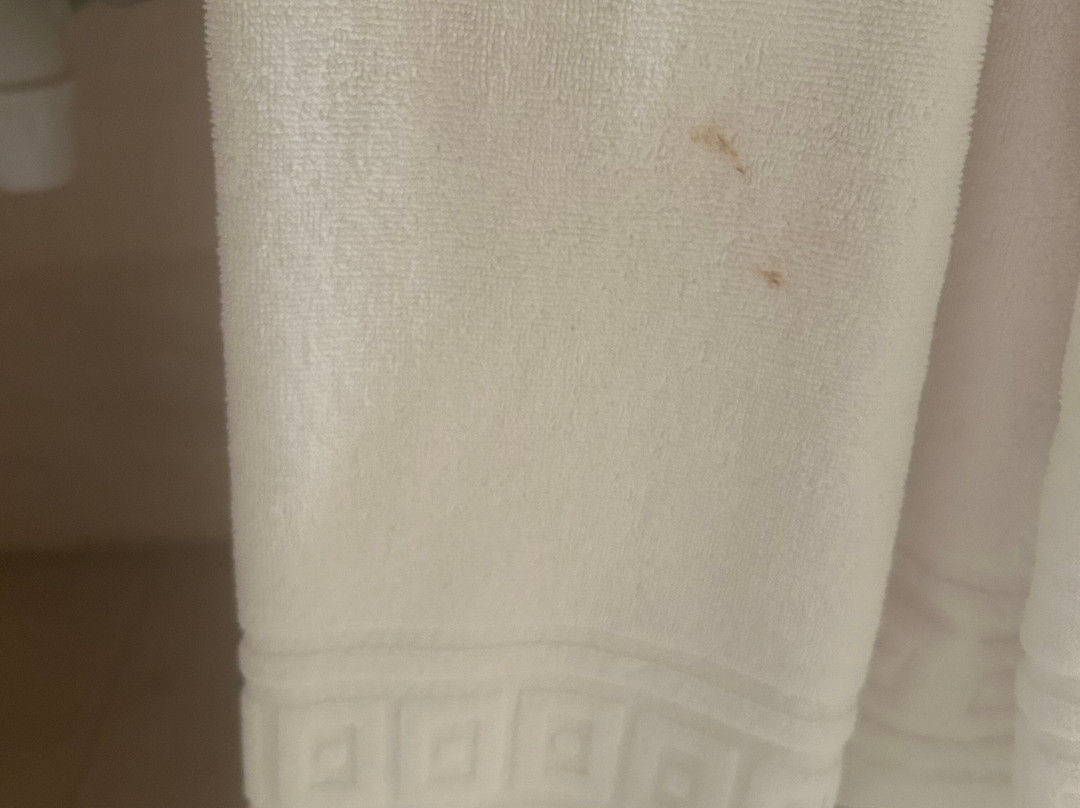 Hotel Termas da Curia主图