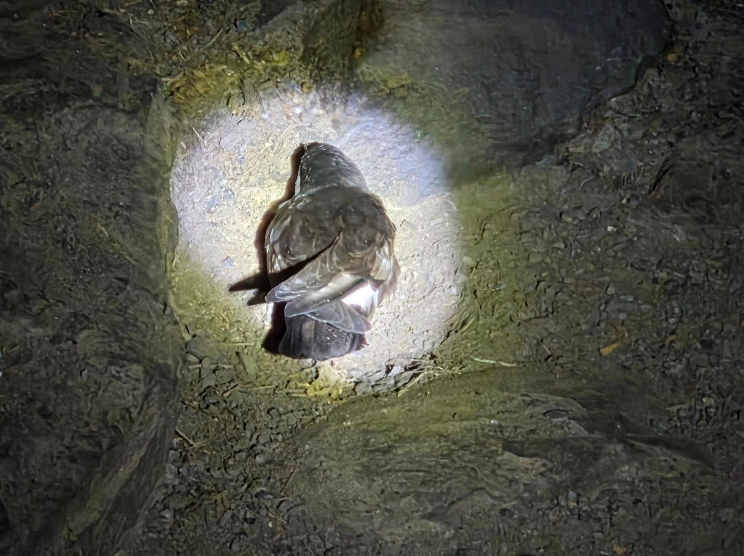 Hidden Hebrides - Island Walking Holidays & Walking Day Tours-Isle of Lewis必去景点