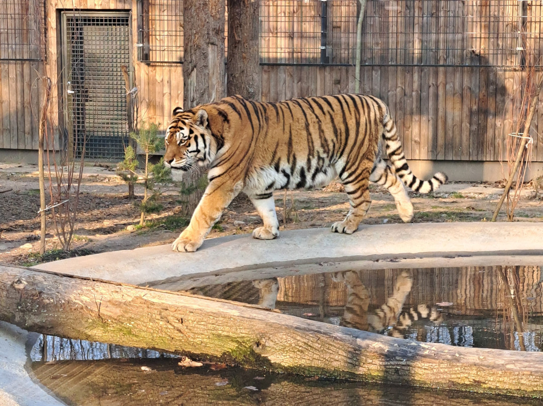 Zoopark Kaunas-考那斯必去景点