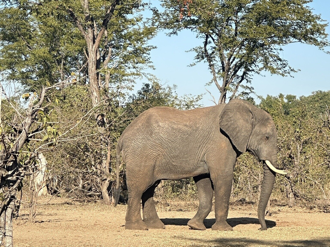Mosi-oa-Tunya National Park-李文斯顿必去景点