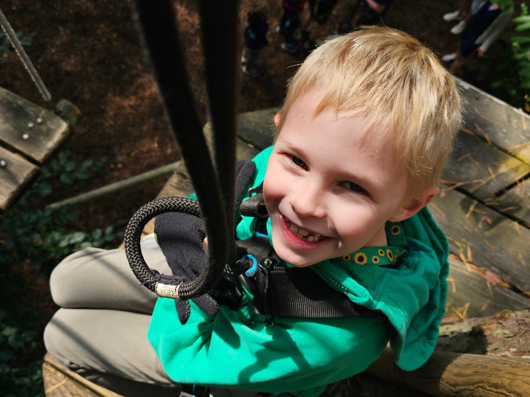 Go Ape Alice Holt-法纳姆必去景点