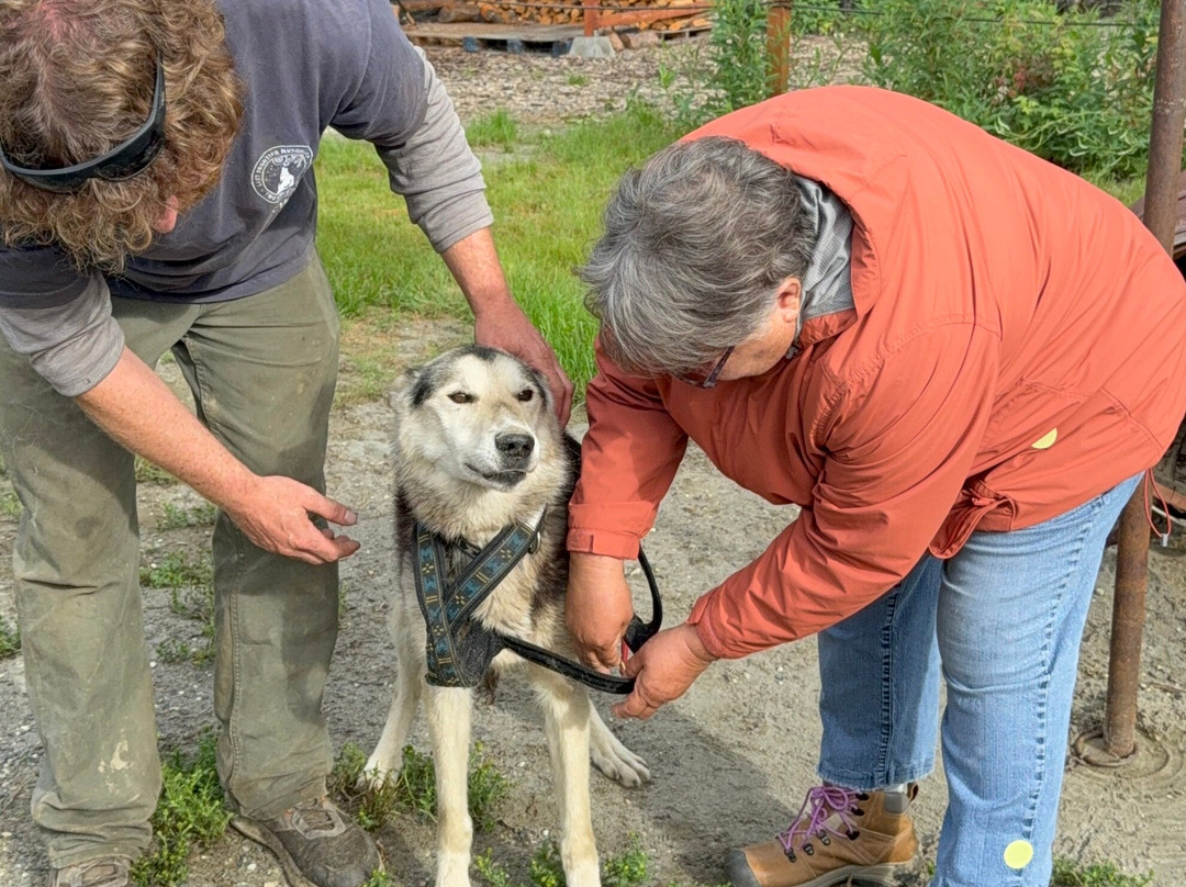 Last Frontier Mushing Co-op-费尔班克斯必去景点