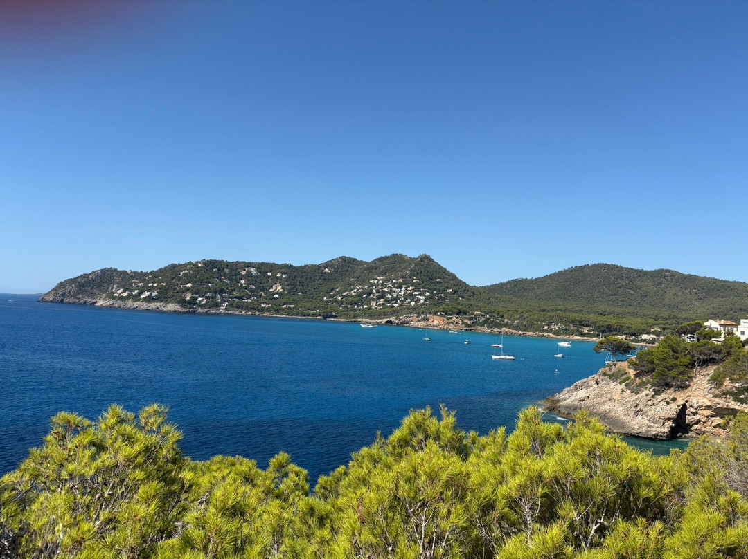 Wrangler Jeep Safari-卡拉米略尔必去景点