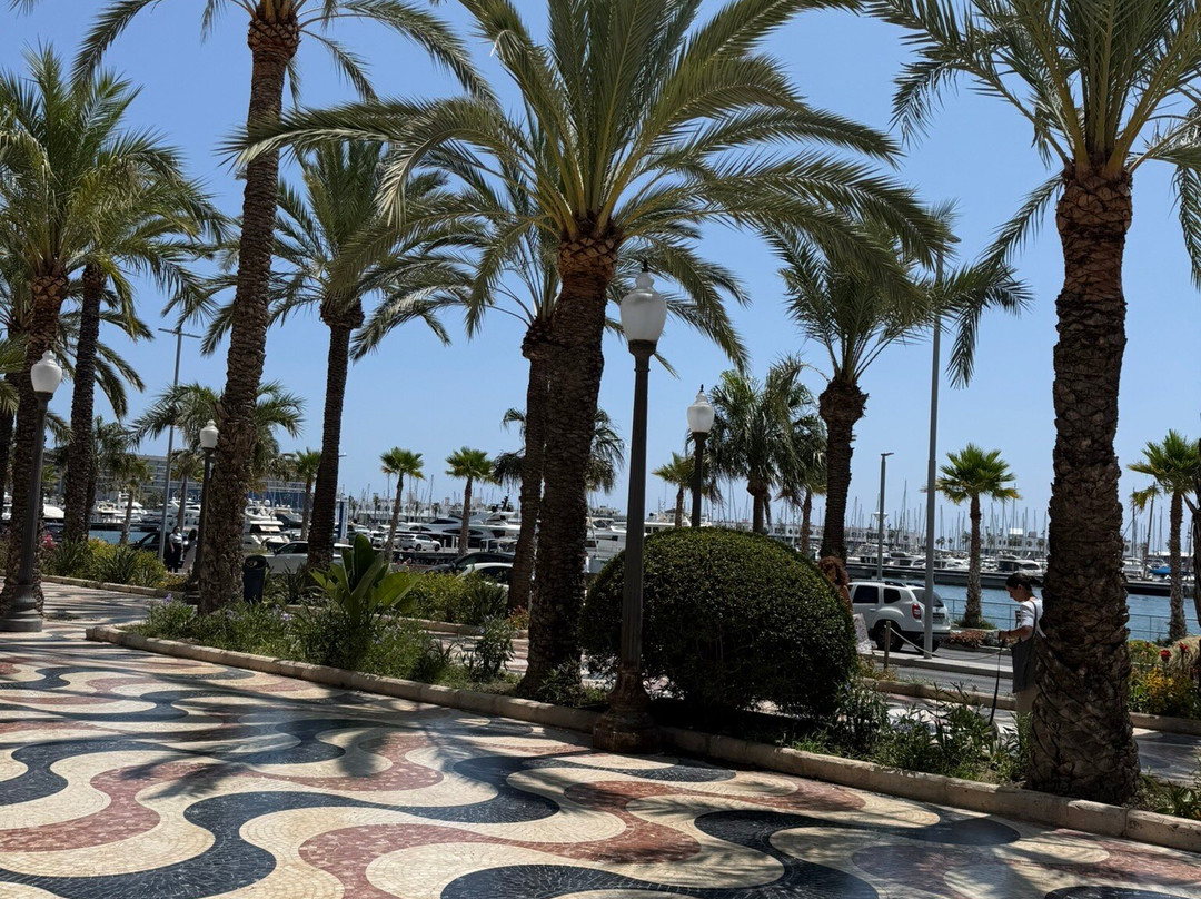 西班牙滨海艺术中心-阿利坎特省必去景点