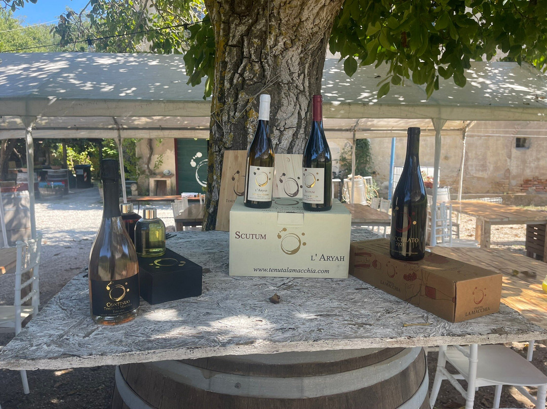 Tenuta La Macchia-Montescudaio必去景点