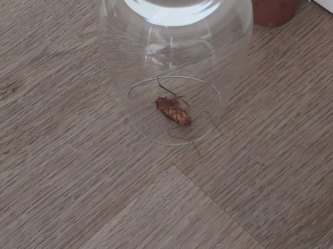 Inmood圣罗克酒店