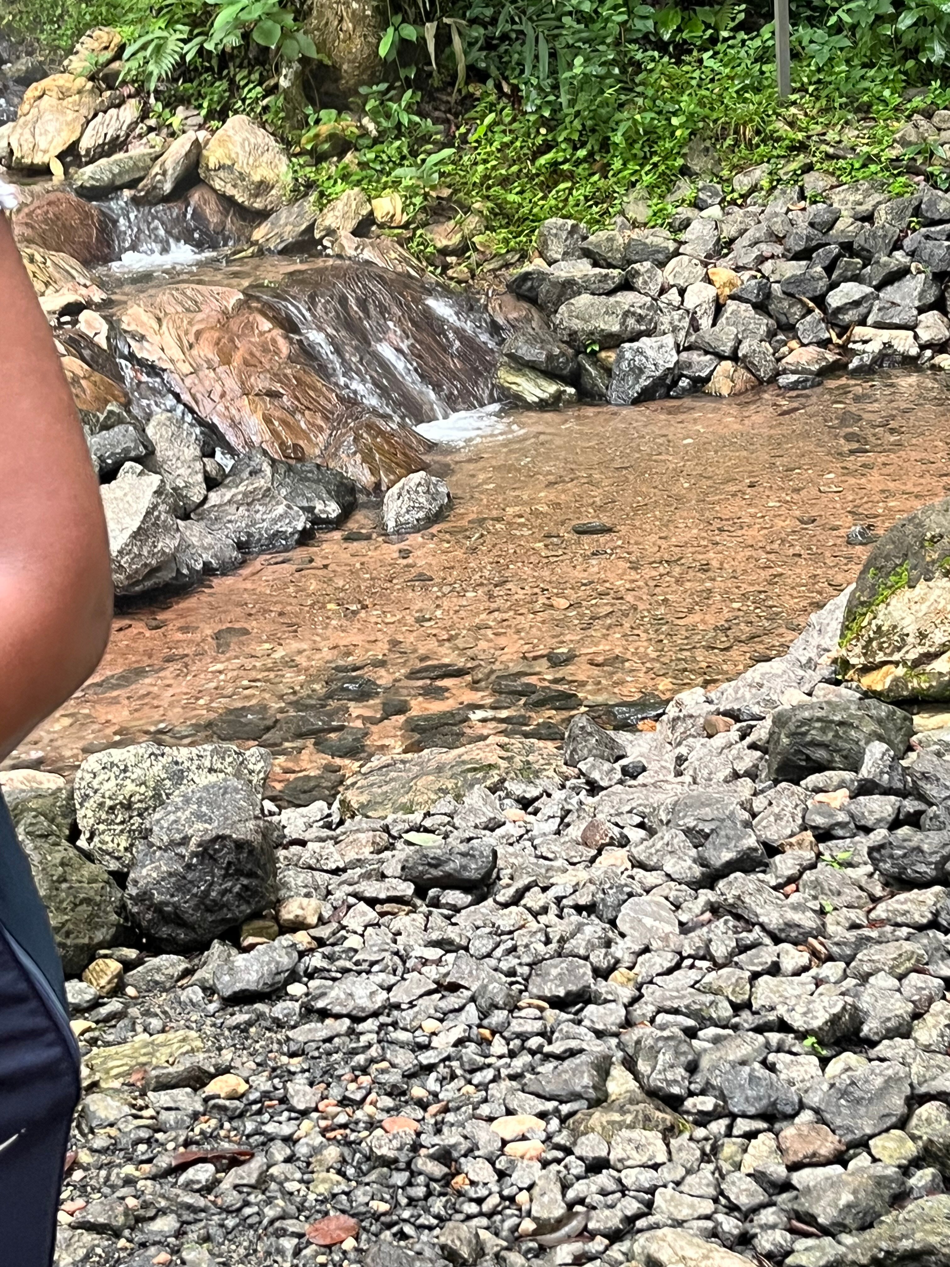 Ikogosi Warm Springs Resort And Conference Center-官方