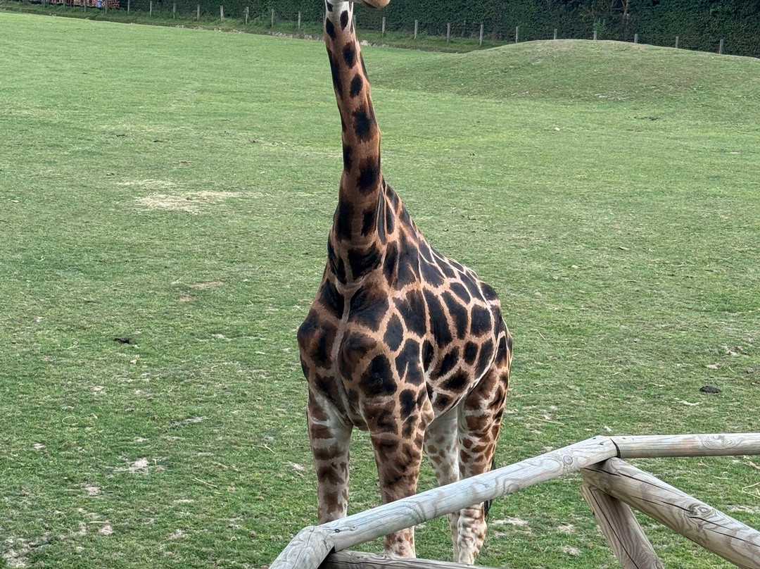 Zoo Cerza-Hermival-les-Vaux必去景点