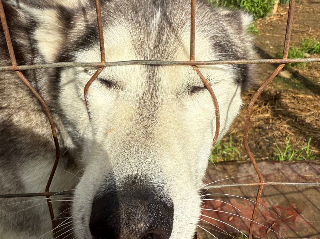 Ilonka Farm & Cafe-伊瓦洛必去景点