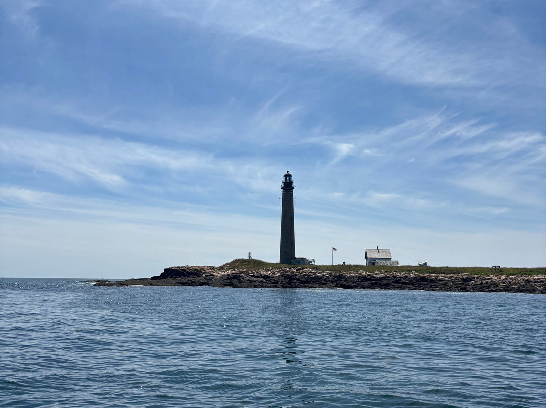 Catch Your Dinner Lobster Tours-Corea必去景点