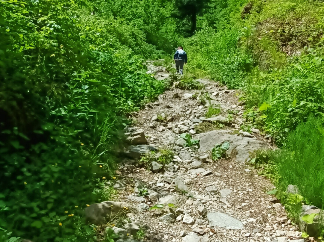 Pensiunea Bucura主图