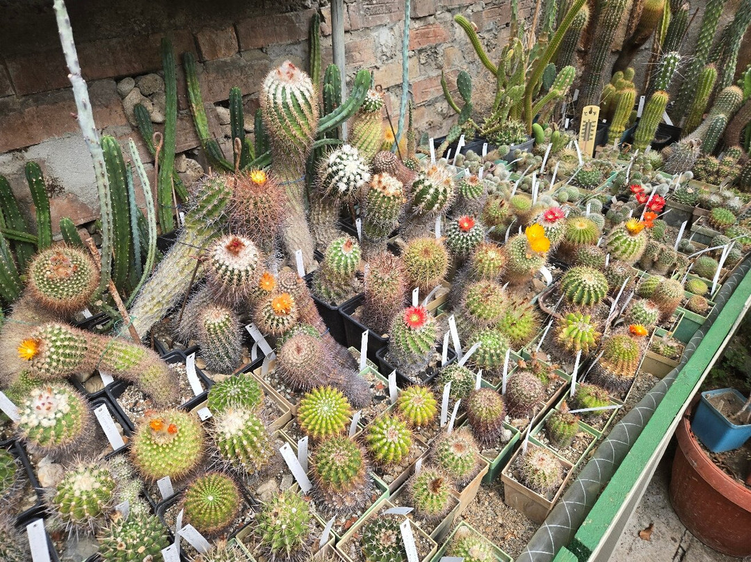 Botanical Garden Serafimovi-Velika必去景点