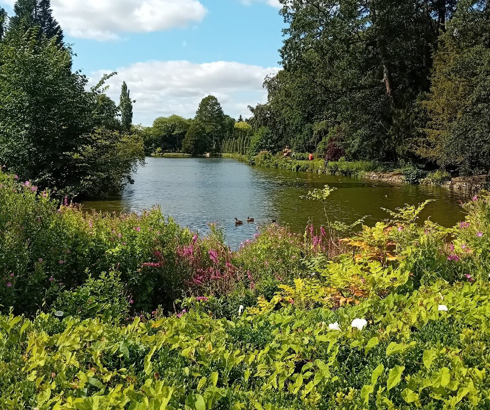 Elsham Hall Gardens and Country Park-Brigg必去景点