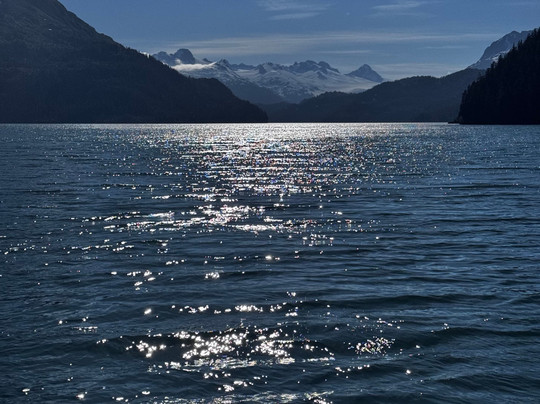 Arctic Fox Adventures-苏厄德必去景点