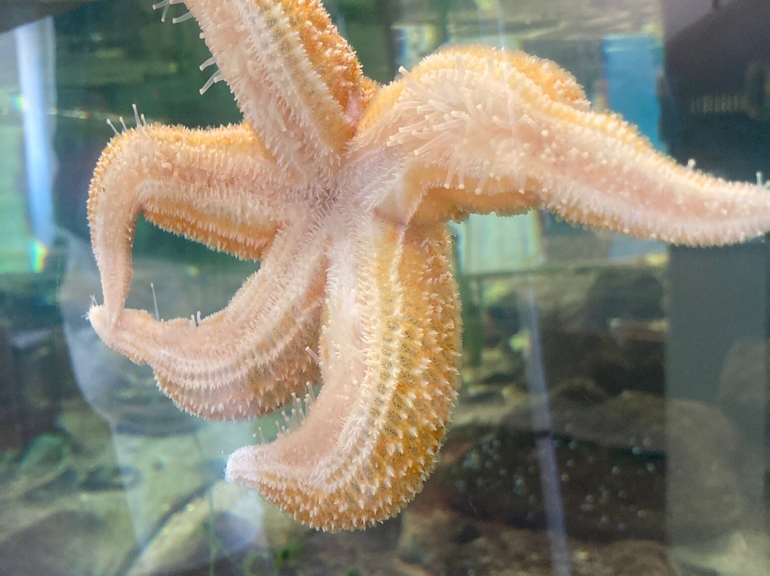 Schutzstation Wattenmeer