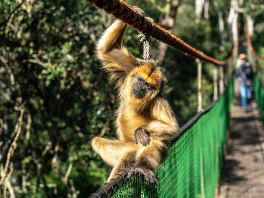 African Moon Adventures-开普敦必去景点