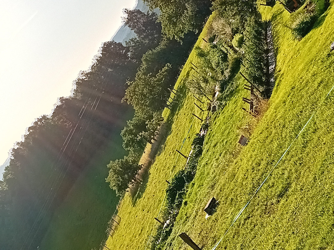 Les Alisiers Hotel-Restaurant主图