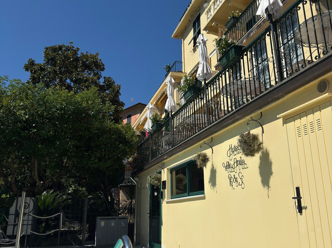 Hotel Villa Anita主图