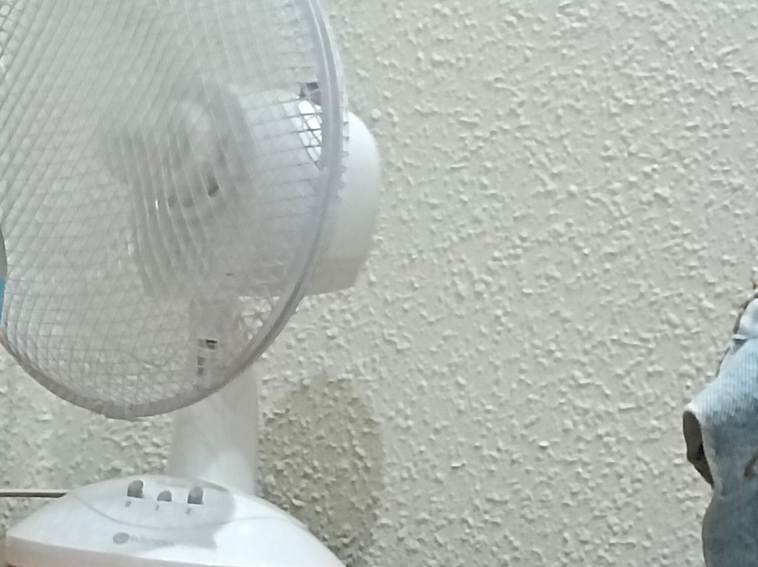 Hostal Mizmaya主图