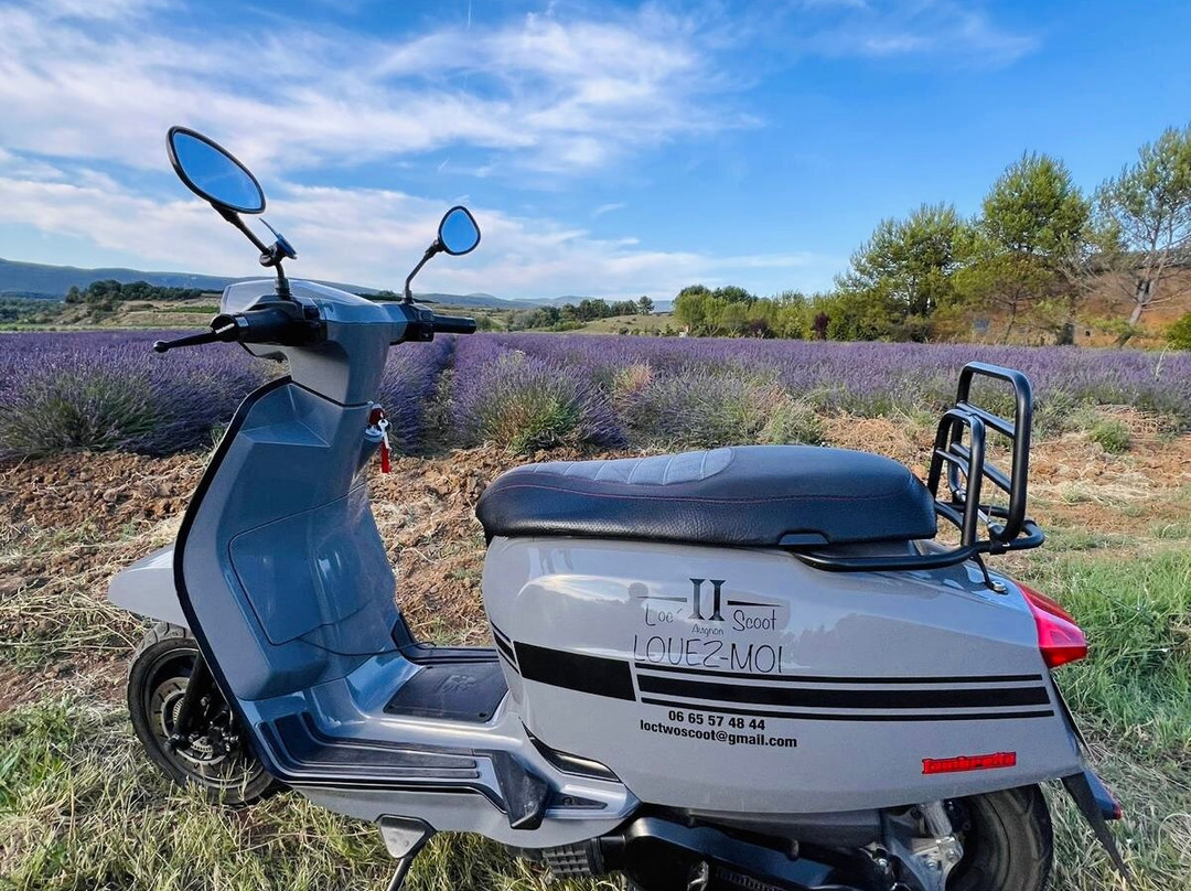 Loc’Two Scoot Avignon-阿维尼翁必去景点