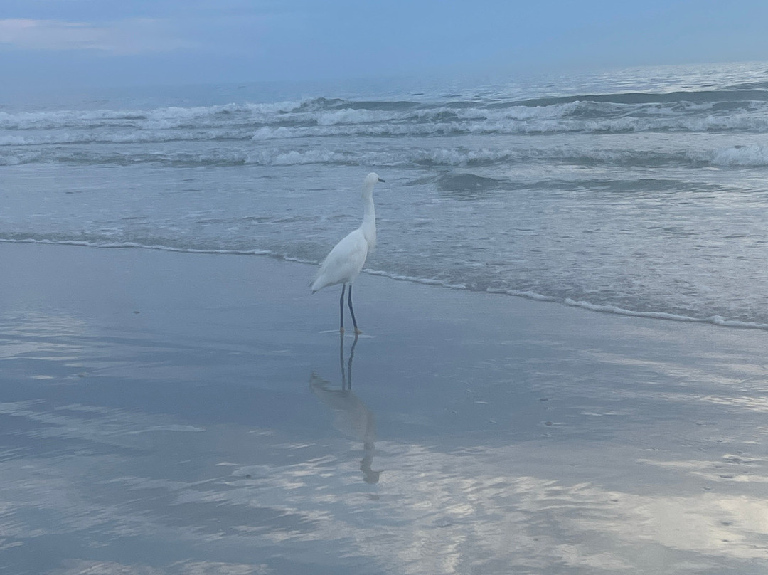 Ponce Inlet Jetty-Ponce Inlet必去景点