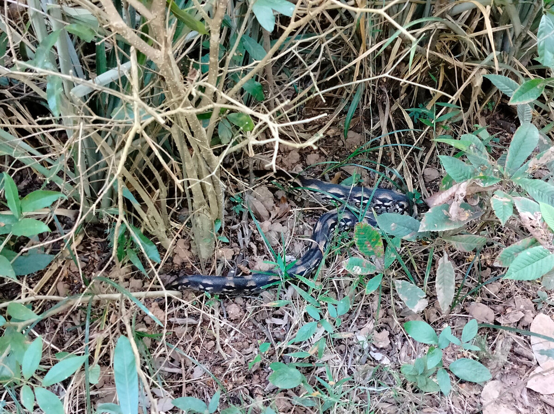 Nosy Sakatia-诺西贝必去景点
