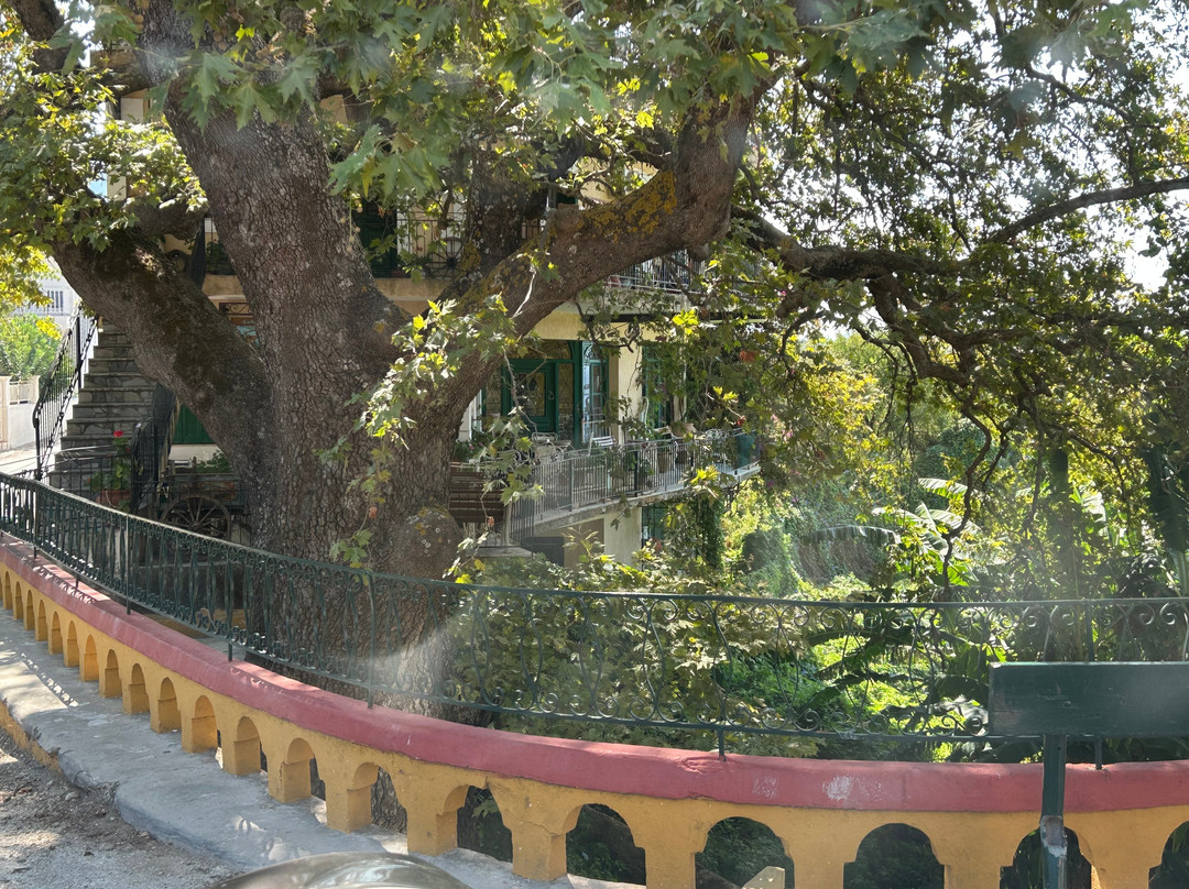 Kato Lagadi Beach-凯法利尼亚岛必去景点