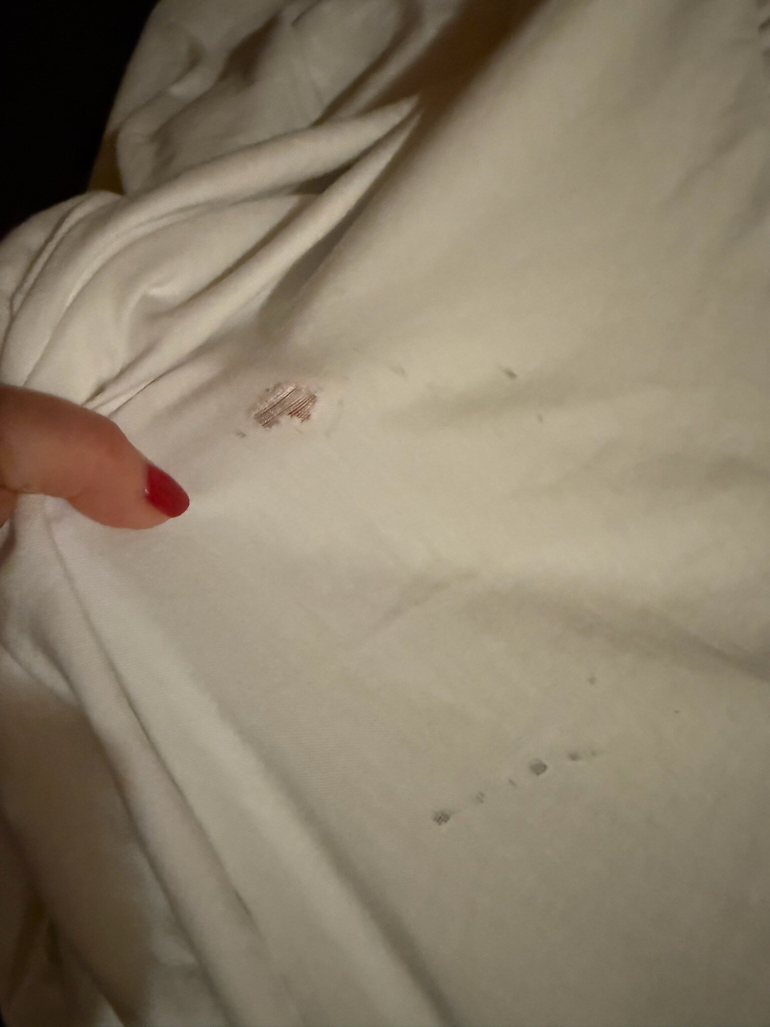 LOGE Alta Crystal-官方