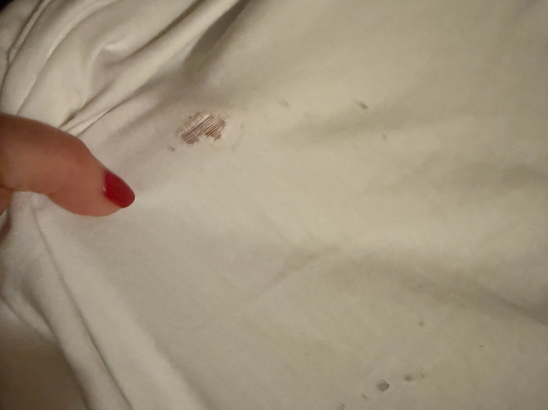 LOGE Alta Crystal主图