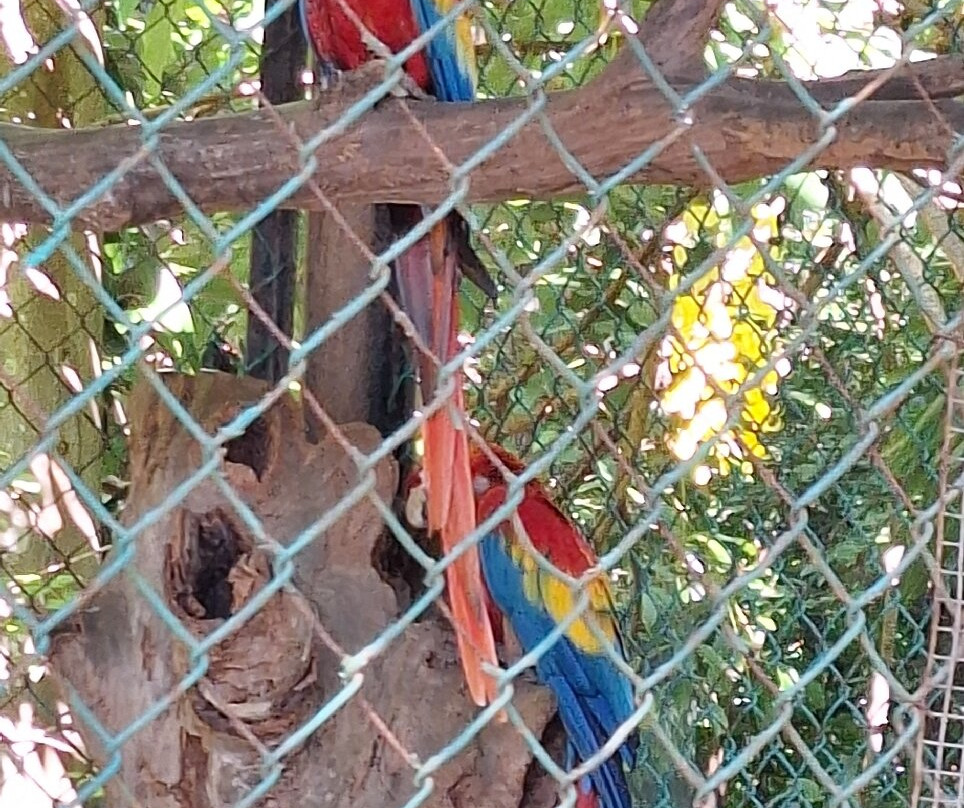 Zoológico De Barranquilla-Barranquilla必去景点