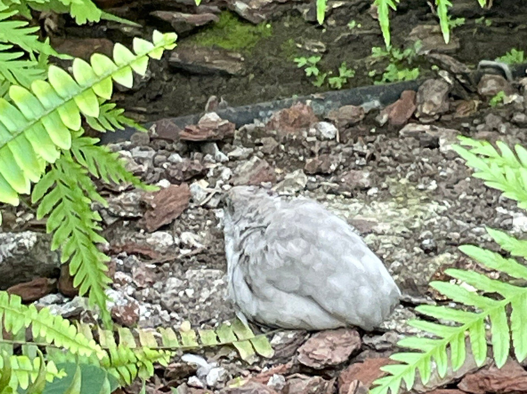 Schmetterlingspark Fehmarn-Burg auf Fehmarn必去景点