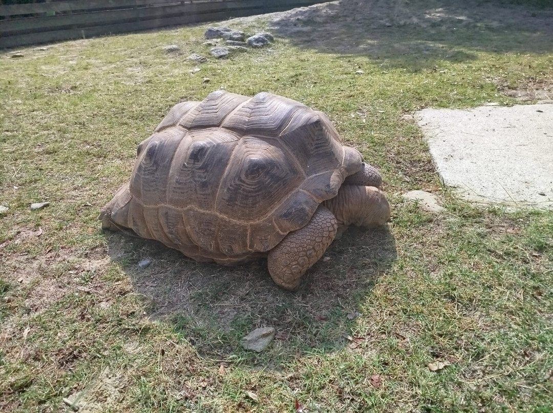 la Vall de les Tortugues-Sorede必去景点