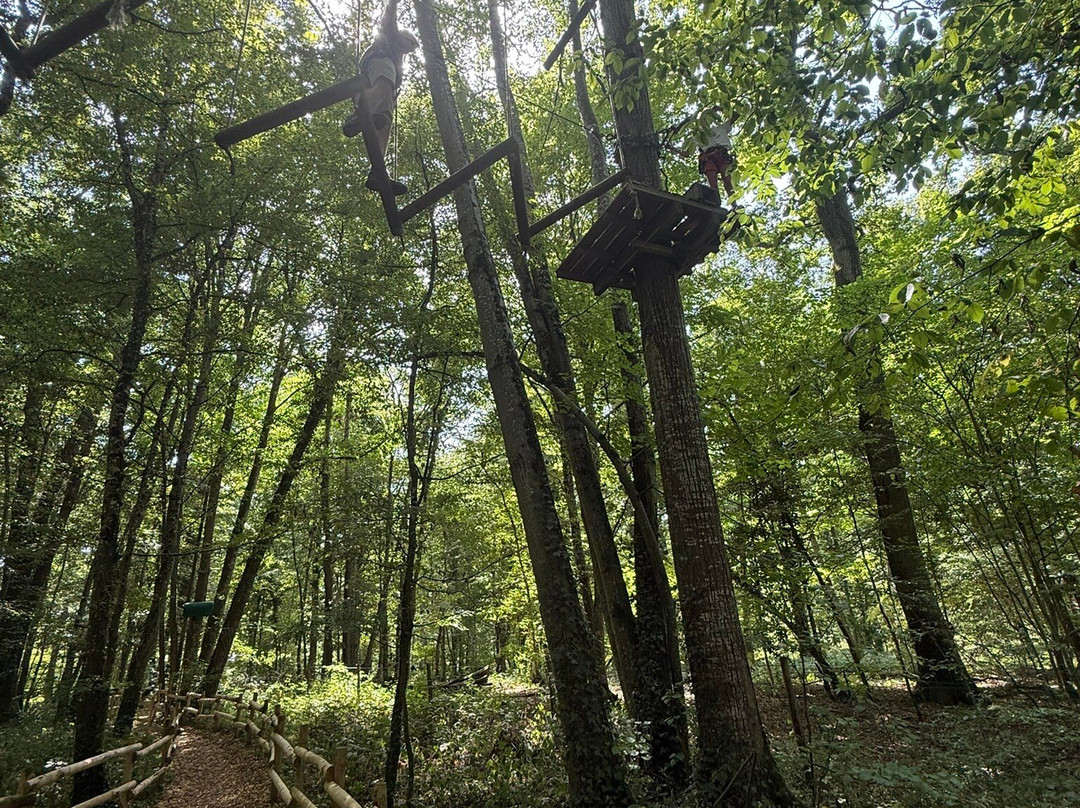 Grimpobranches-Lusigny sur Barse必去景点